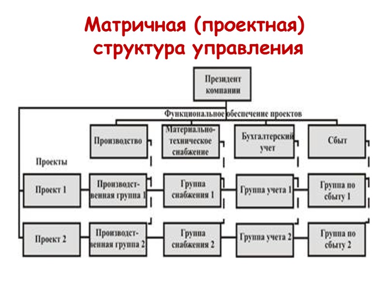 Матричная (проектная)  структура управления